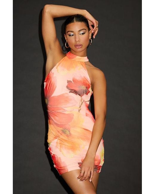 Lulus Black Siranda Multi Floral Mesh Backless Mini Dress