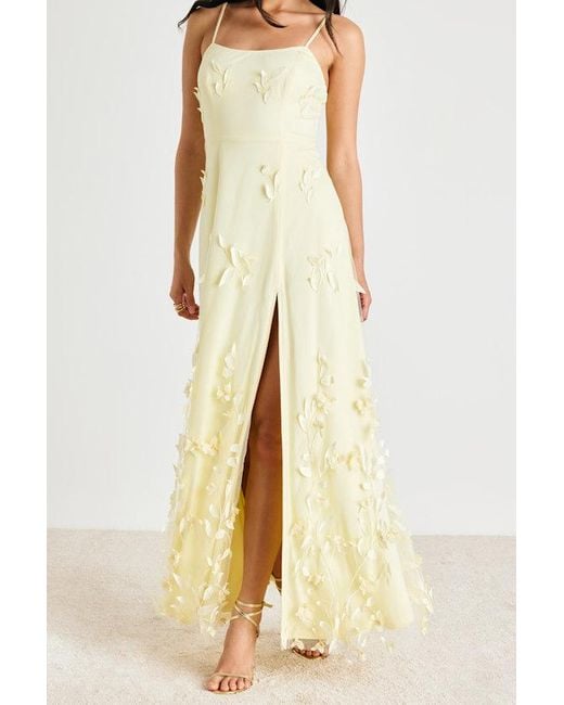 Lulus Metallic Abundant Charm Pale 3D Floral Applique Maxi Dress