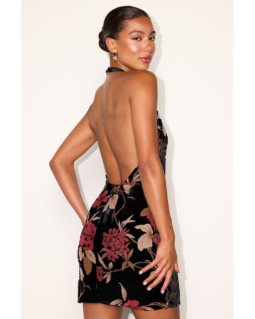 Lulus Black Delizah Floral Burnout Halter Mini Dress