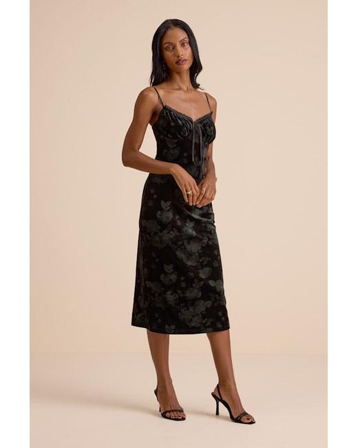 Lulus Natural Areti Velvet Burnout Column Midi Dress