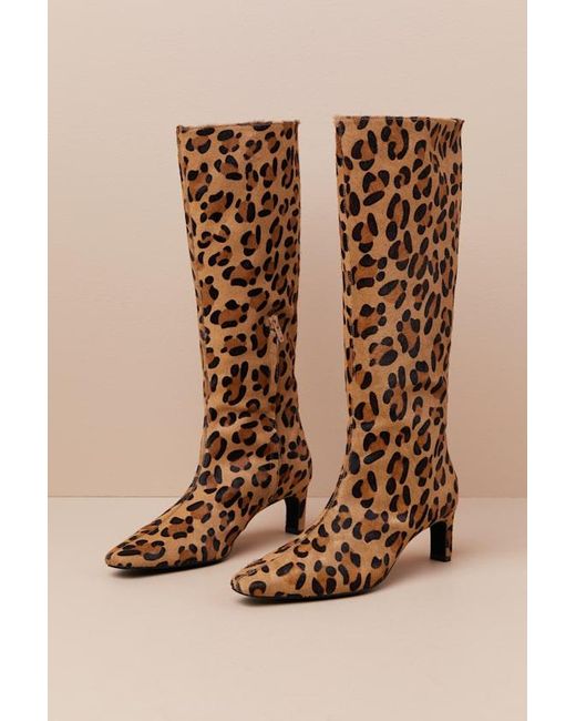 INTENTIONALLY ______ Brown Seville Cheetah Calf Hair Leather Knee-High Boots
