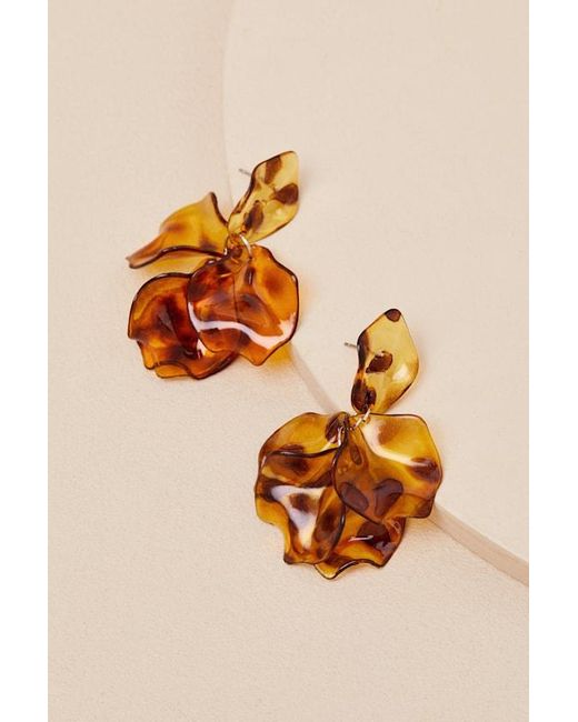 Lulus Brown Mallory Tortoiseshell Statement Earrings
