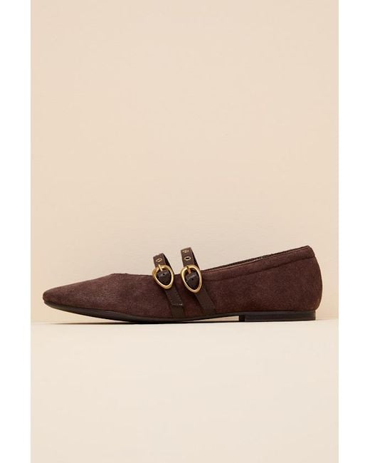 Dolce Vita Brown Ardene Mahogany Suede Leather Buckle Ballet Flats