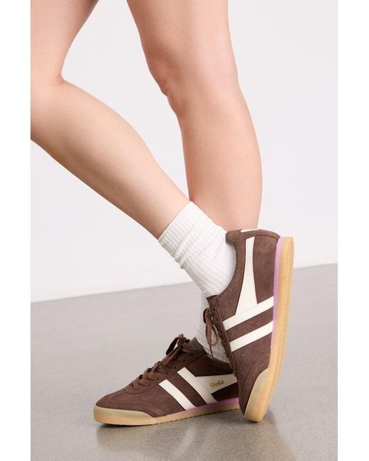 Gola Natural Apollo Dark And Off Suede Lace-Up Sneakers