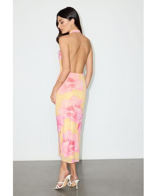 Lulus White Venus And Floral Mesh Backless Midi Dress