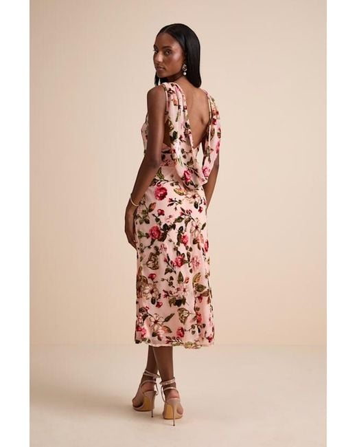 Lulus Natural Florina Blush Floral Velvet Floral Burnout Cowl Back Midi Dress