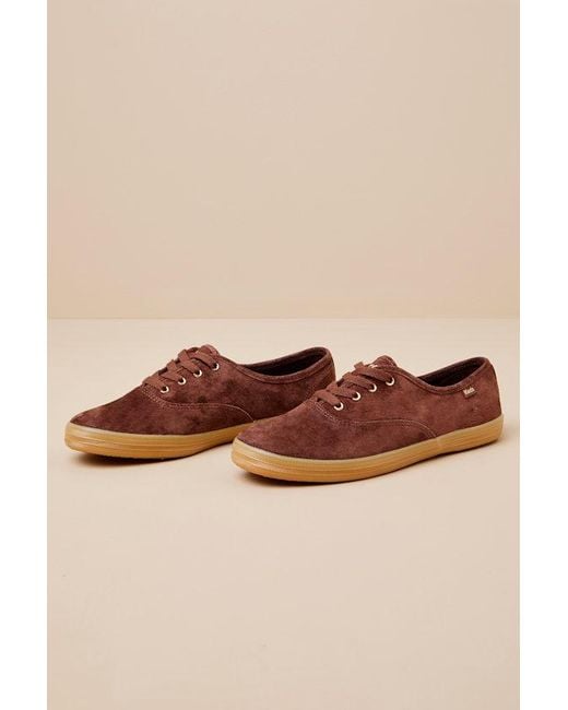 Keds Blue Champion Luxe Chocolate Suede Lace-Up Sneakers