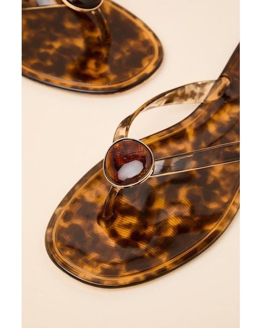 Lulus Brown Daxley Tortoise Jelly Stone Flip Flops