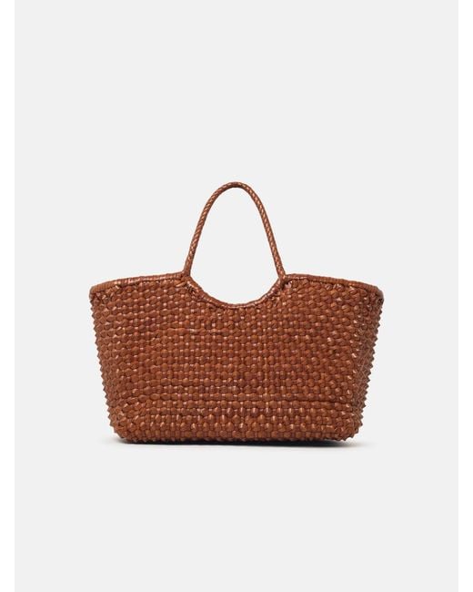 Dragon Diffusion Brown 'Nantucket Cactus' 'Tan