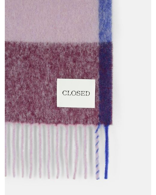 Closed Purple Multicolor Alpaca Blend Scarf