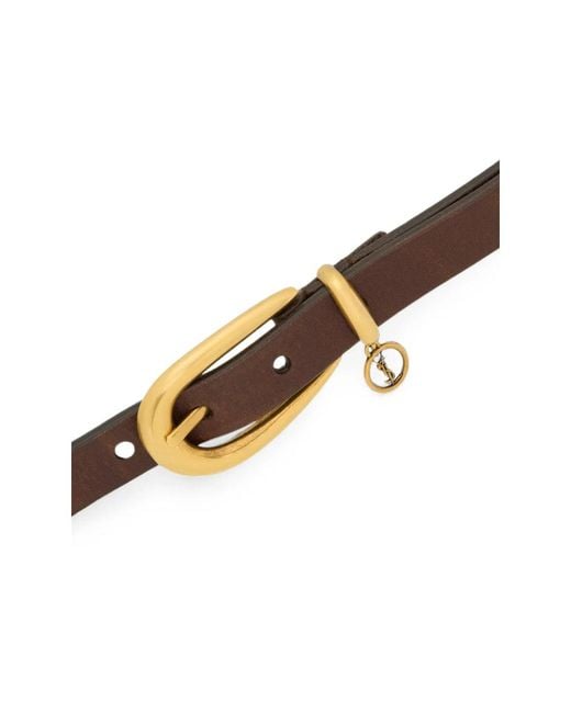 Saint Laurent Brown Belts