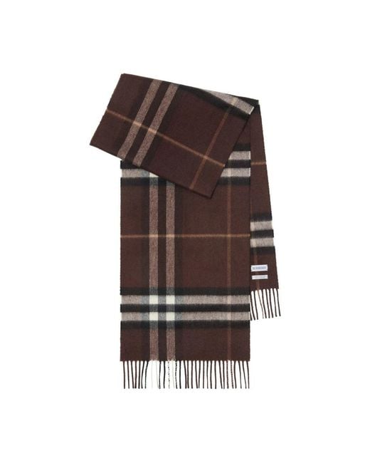 Burberry Brown Scarves for men