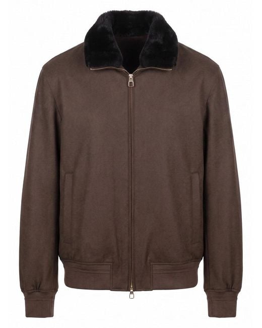 Montecore Brown Jacket for men