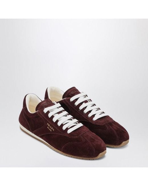 Prada Brown Burgundy Suede Sneakers