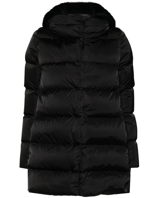 Herno Black Dress Shirt Long Sleeve