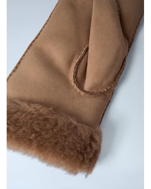 Max Mara White Sand Gloves