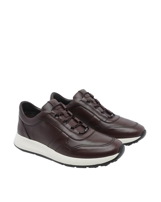 Tod's Brown Dot Sneakers for men