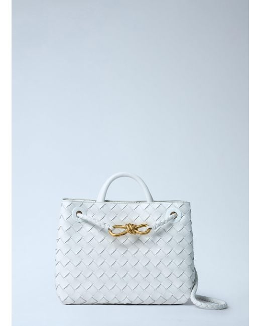 Bottega Veneta Blue Small Andiamo Handbag
