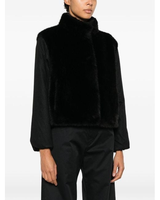Herno Black Coats