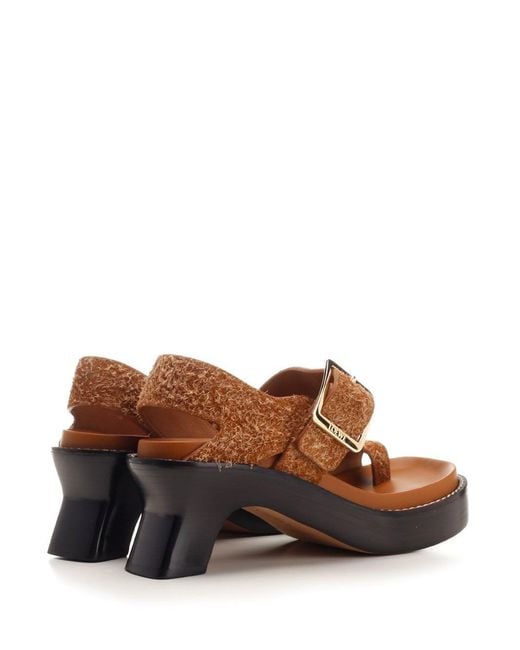Loewe Brown "Ease" Thong Sandals