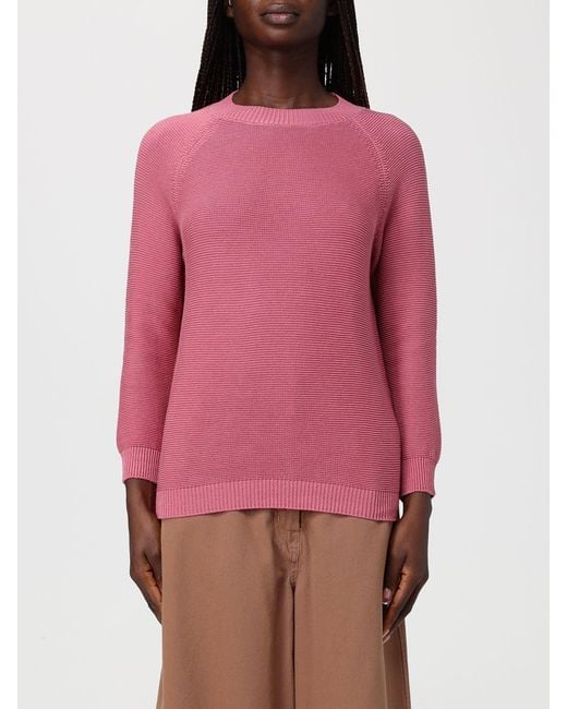 Weekend by Maxmara Pink Sweater for men