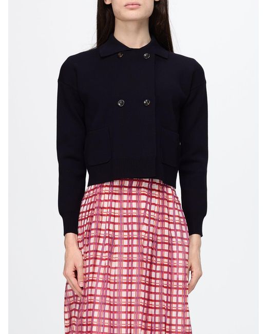 Max Mara Blue Sweater
