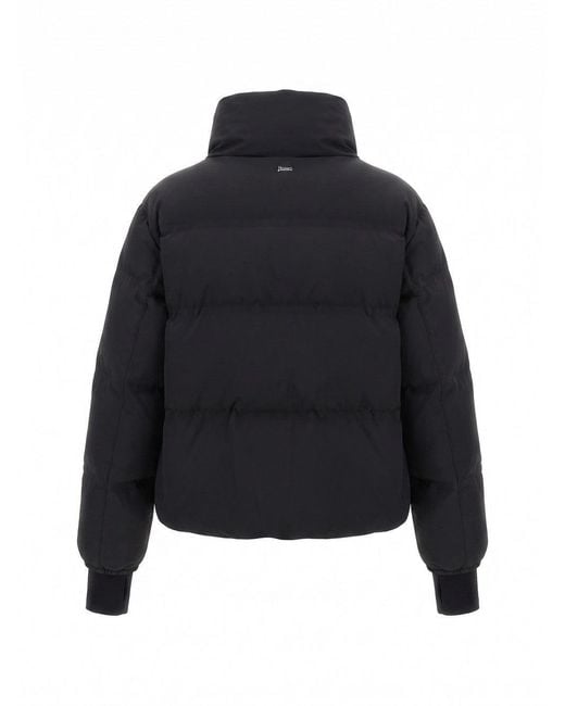 Herno Black Padded Jacket