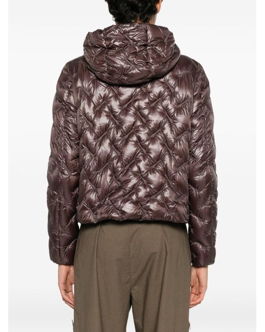 Herno Brown Coats