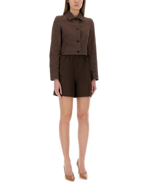 Max Mara Brown "Carp" Jacket Cotton