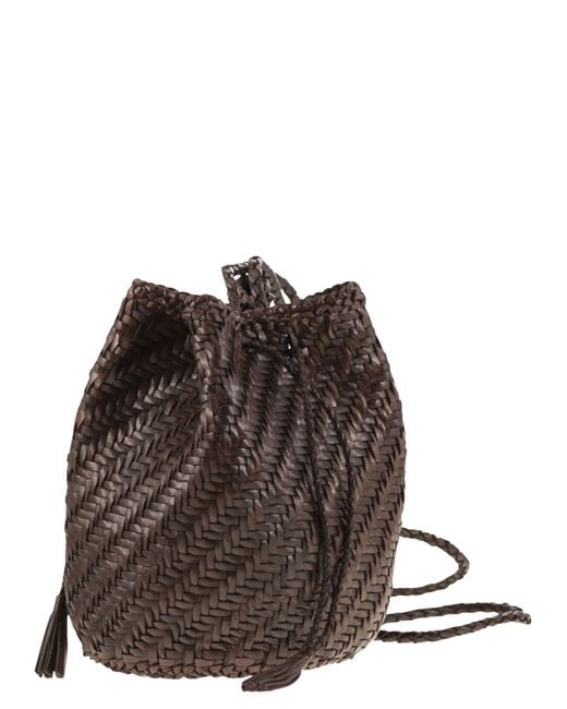 Dragon Diffusion Brown Pompom Double Jump