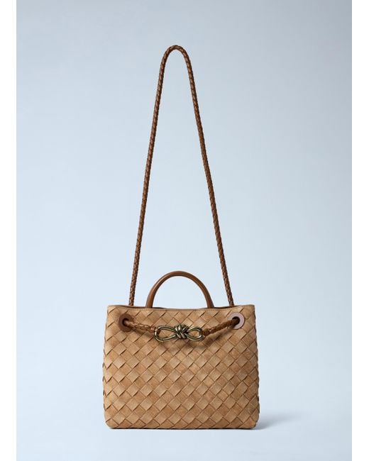 Bottega Veneta Blue Small Andiamo Handbag