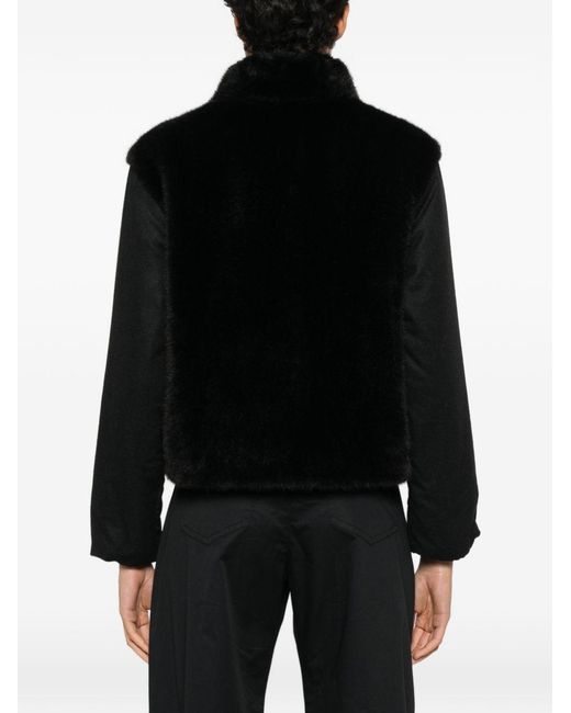 Herno Black Coats