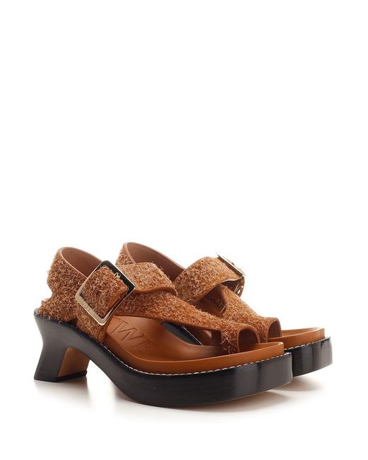 Loewe Brown "Ease" Thong Sandals
