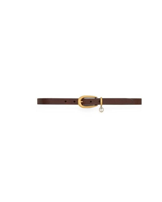 Saint Laurent Brown Belts