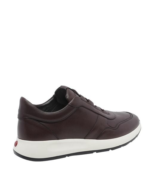 Tod's Brown Dot Sneakers for men