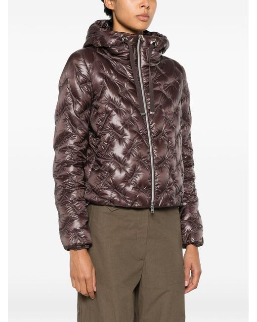 Herno Brown Coats