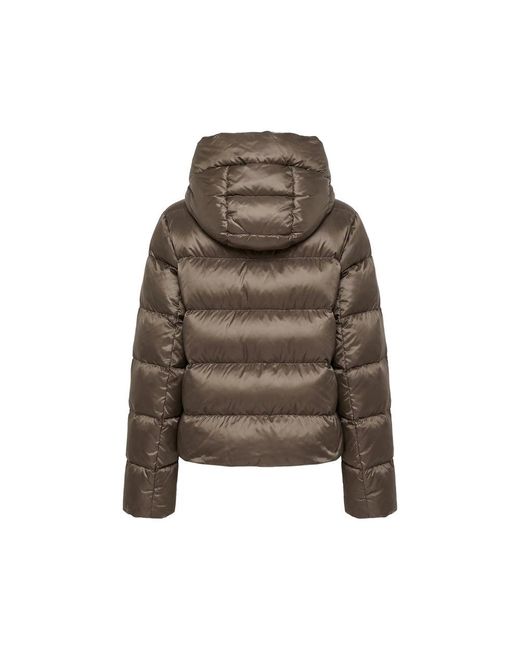 Max Mara Brown Jackets
