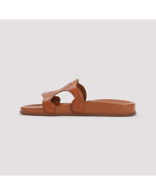Céline Brown Triomphe Slide