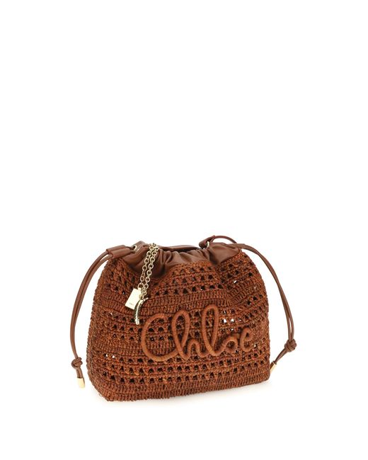 Chloé Brown Chloé Mini Shoulde