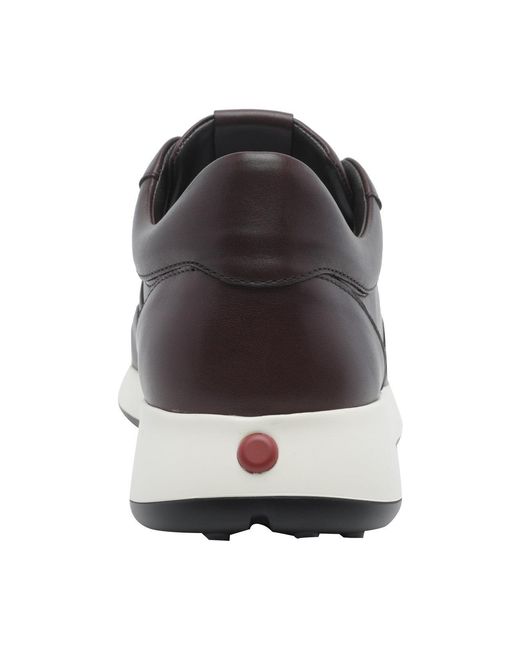 Tod's Brown Dot Sneakers for men