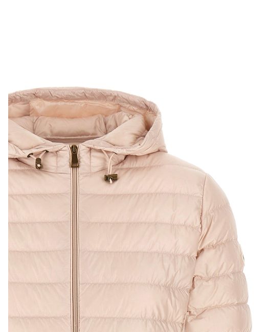Moncler Natural 'Igelhood' Down Jacket