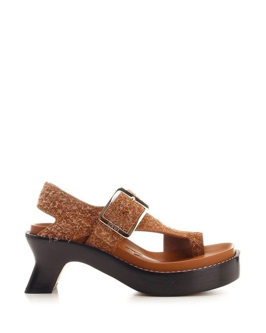 Loewe Brown "Ease" Thong Sandals