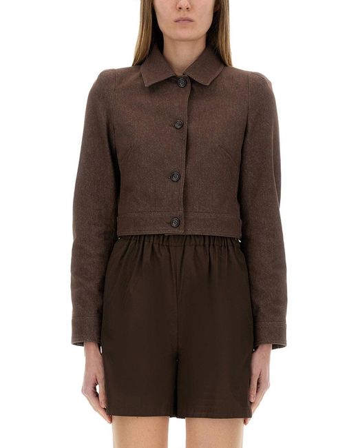 Max Mara Brown "Carp" Jacket Cotton