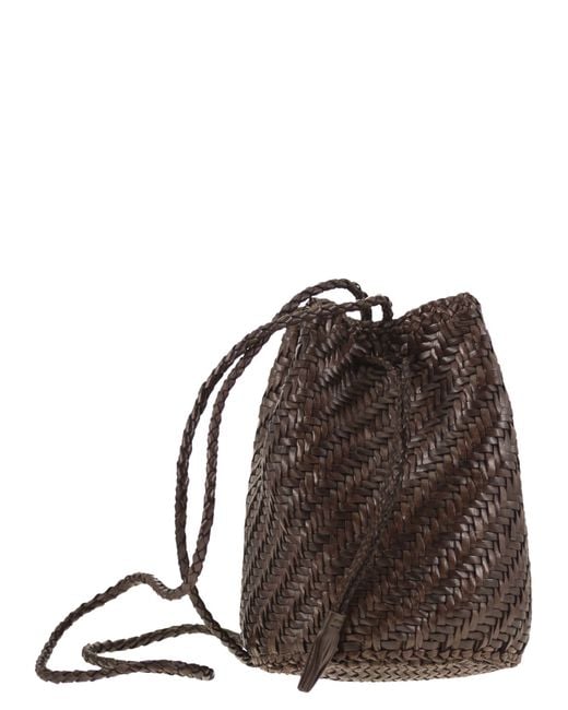 Dragon Diffusion Brown Pompom Double Jump