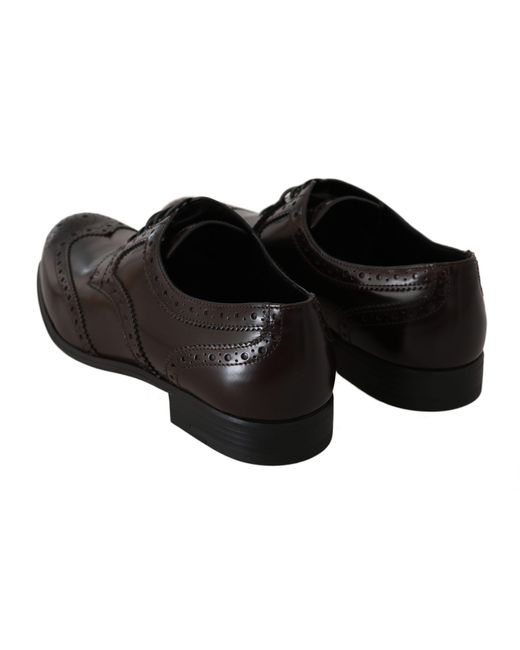 Dolce & Gabbana Black Laced Shoes