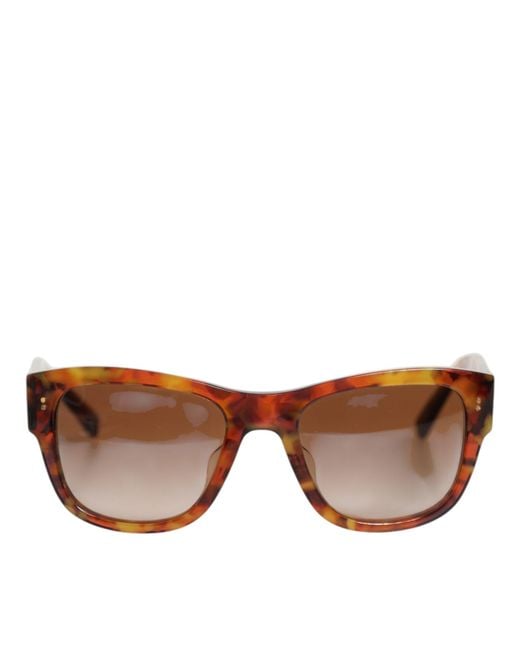 Dolce & Gabbana Brown Dg4338F Havana Full Rim Round Lenses Sunglasses