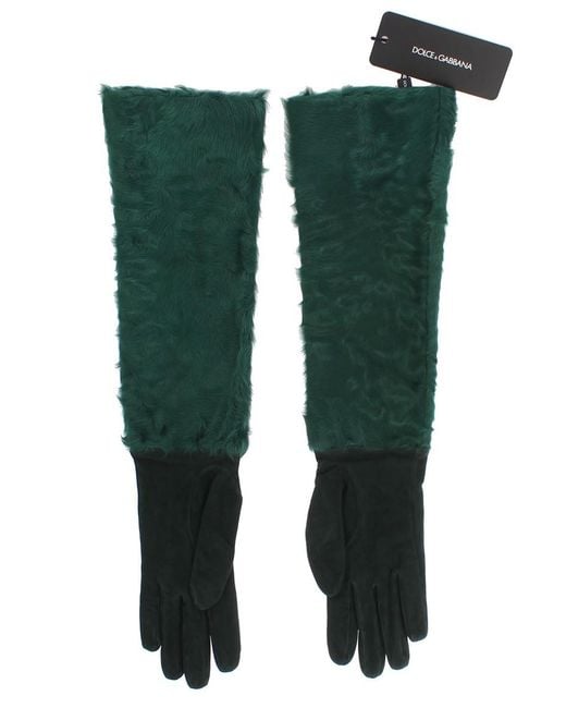 Dolce & Gabbana Green Leather Xiangao Fur Elbow Gloves