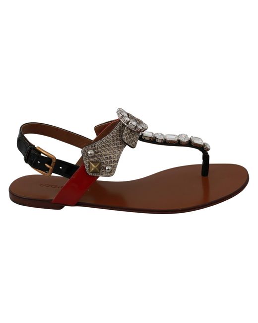 Dolce & Gabbana Leather Ayers Crystal Sandal Brown La6458