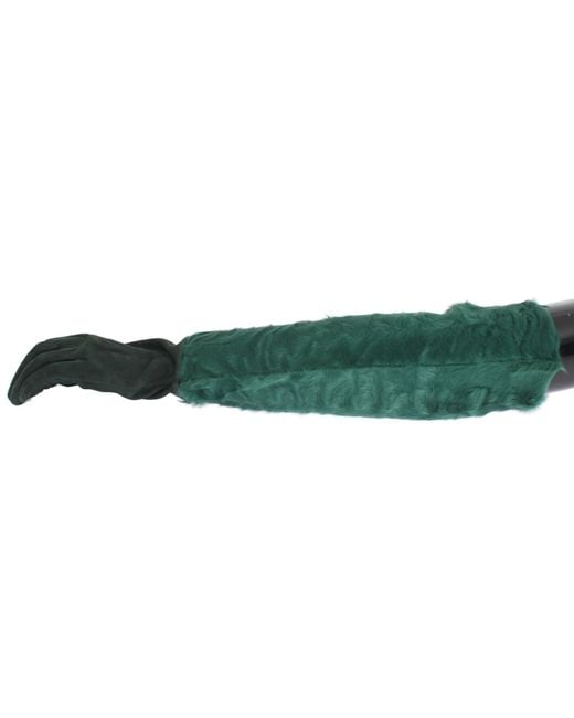 Dolce & Gabbana Green Leather Xiangao Fur Elbow Gloves
