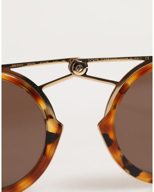Dolce & Gabbana Brown Sunglasses